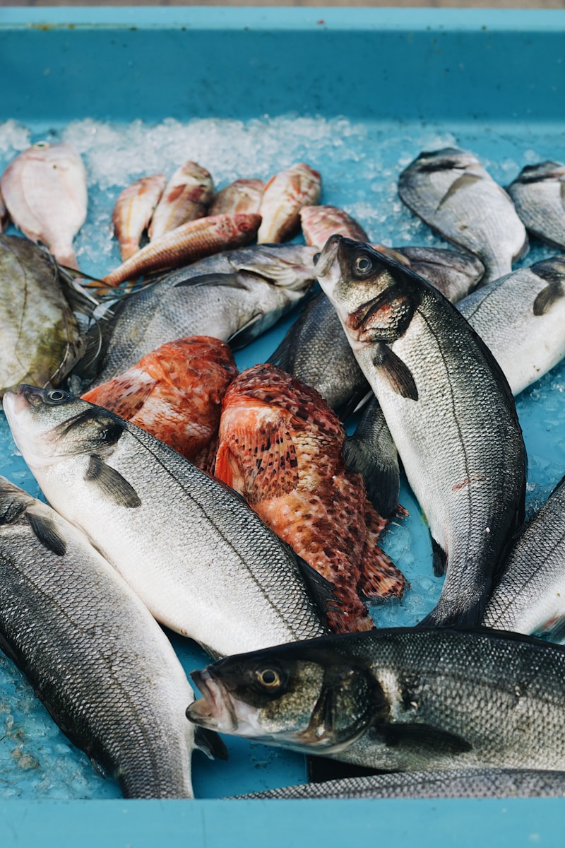 Omega 3 PESCADO